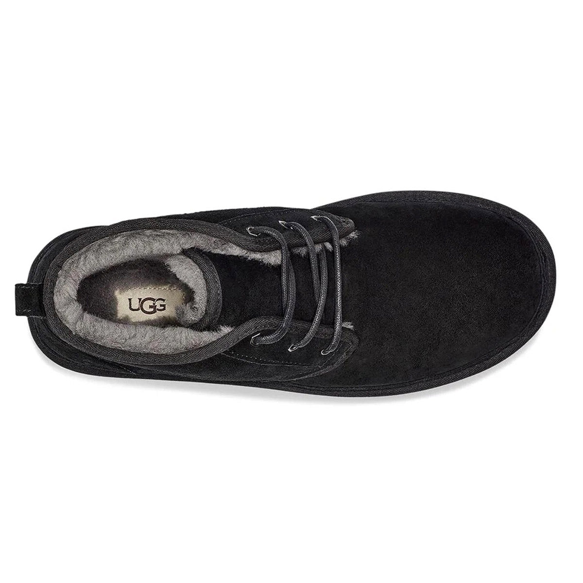 Top view of a black UGG NEUMEL CHUKKA BOOT BLACK - MENS with gray laces and a UGGpure wool lining, displayed against a white background.
