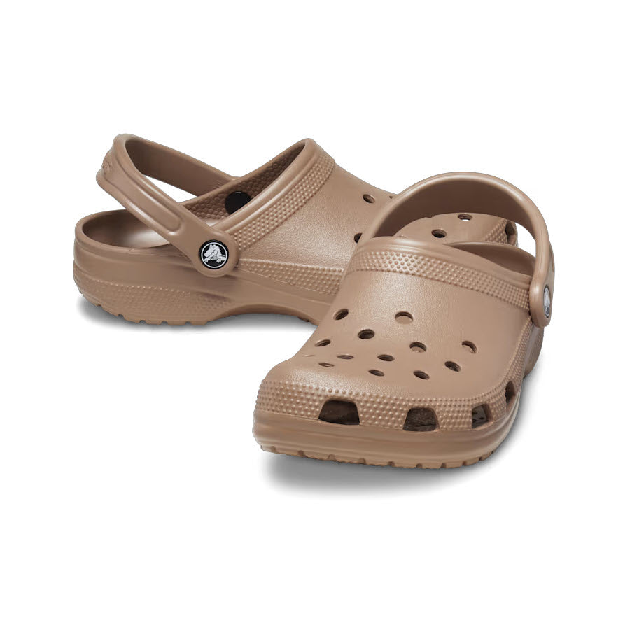 A pair of CROCS CLASSIC CLOG LATTE - ADULTS on a white background.