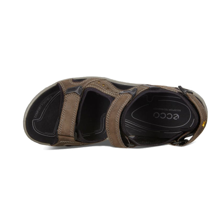 Top-down view of a single brown Ecco Offroad Lite sandal against a white background.