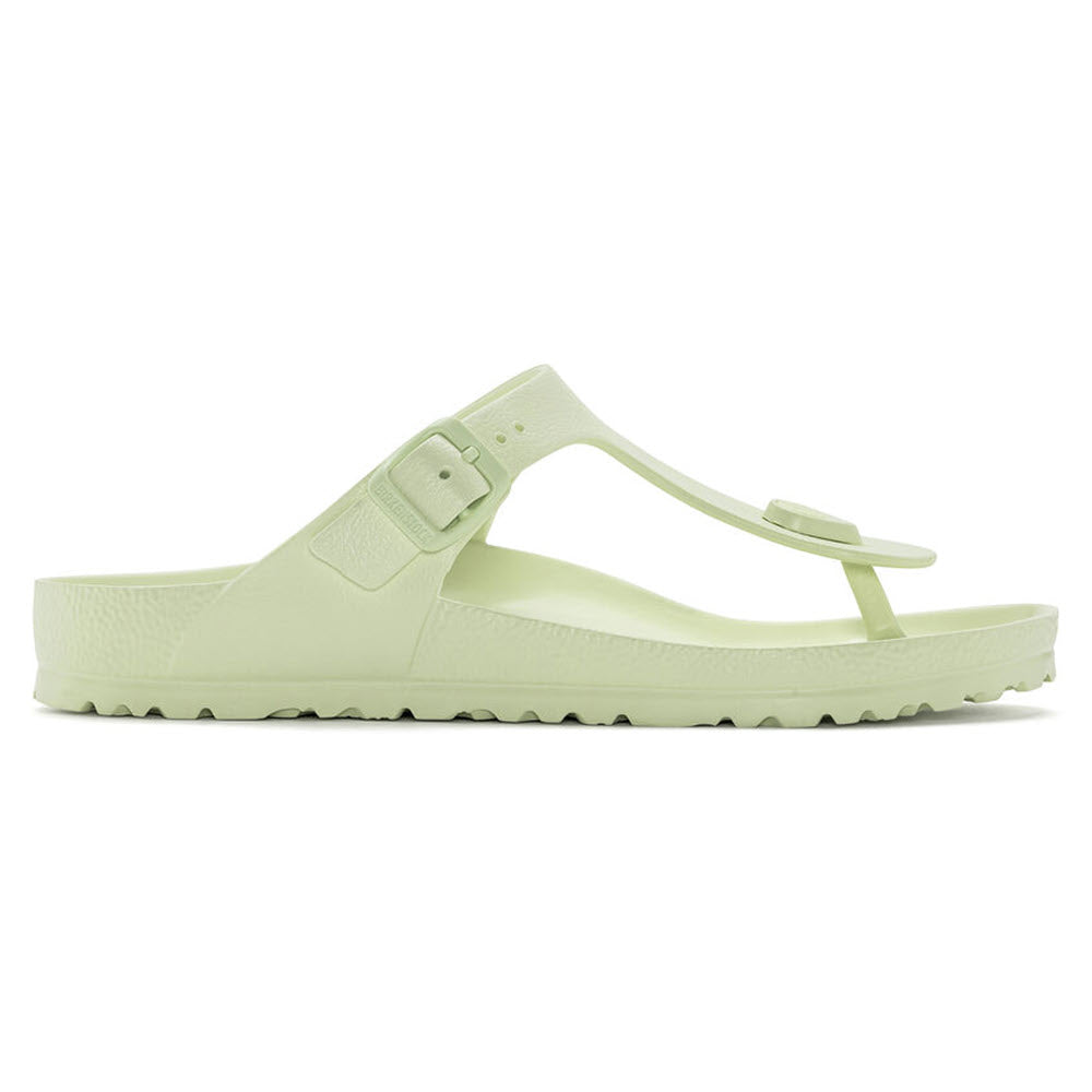 A BIRKENSTOCK GIZEH EVA FADED LIME sandal with a single strap and buckle, displayed against a white background.