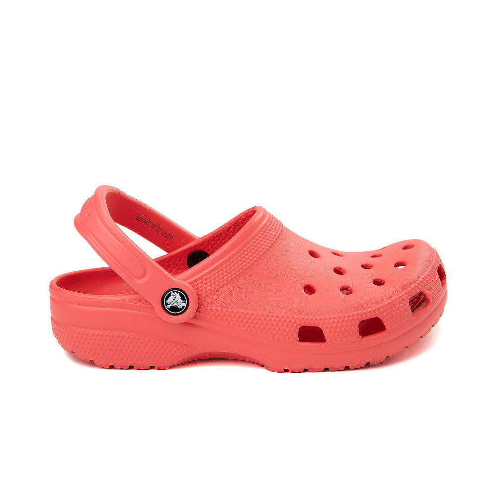 A single neon watermelon Crocs Classic Clog on a white background, displaying its characteristic holes and pivoting heel strap.