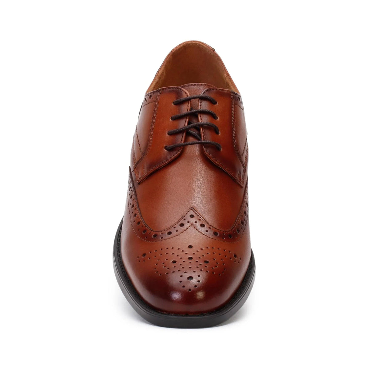 A single brown leather Florsheim Midtown Wingtip oxford shoe with brogue detailing and black laces on a white background.