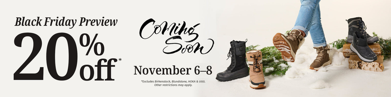 Black Friday Preview Sale
