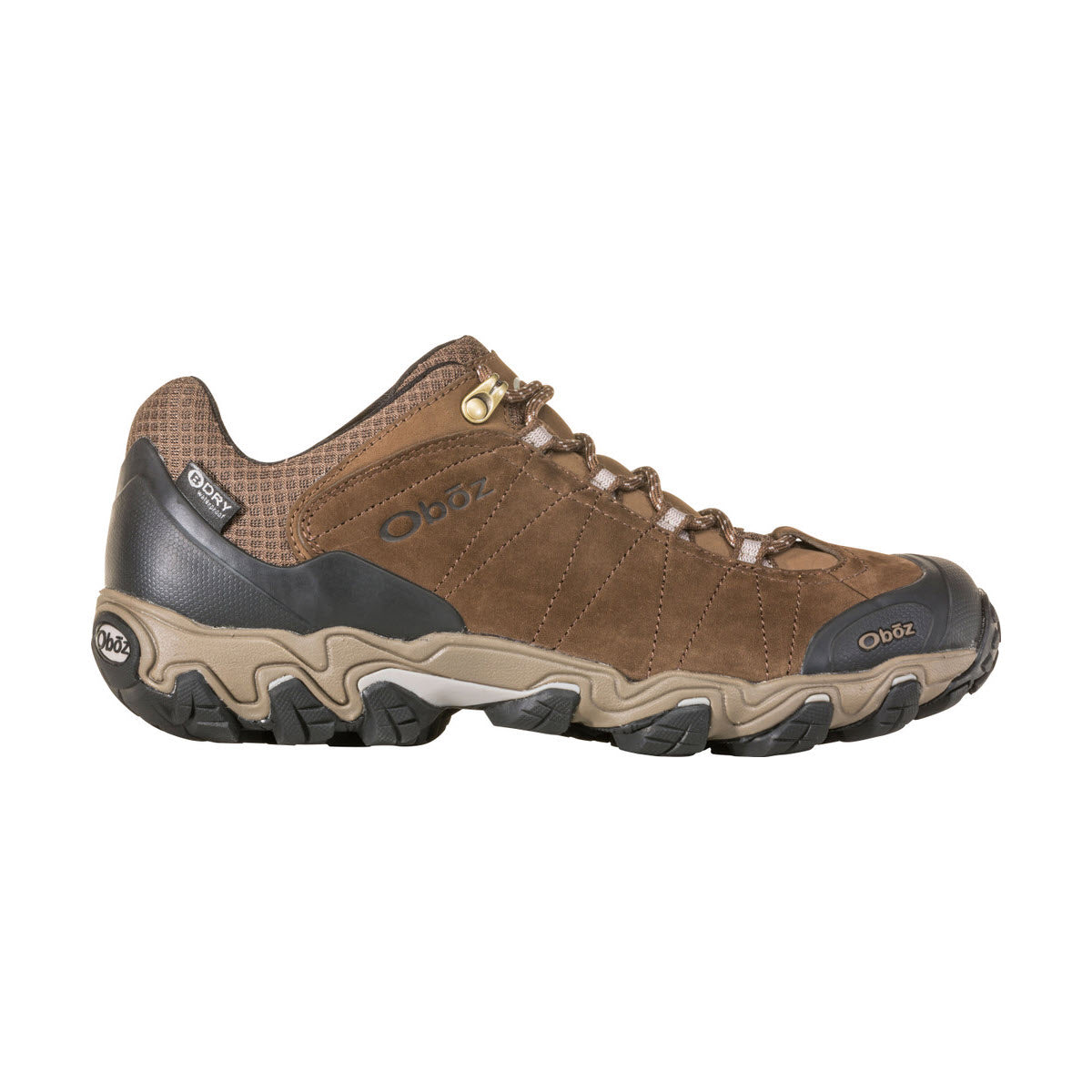 A single brown Oboz Bridger Low WP Canteen hiking shoe with a rugged, aggressive outsole and lace-up front, displayed against a white background.