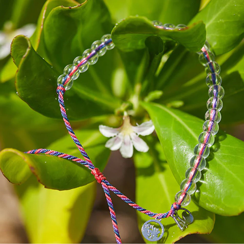 Colorful 4Ocean bracelets draped over a green plant with a small white flower in the background, symbolizing coral reef conservation.