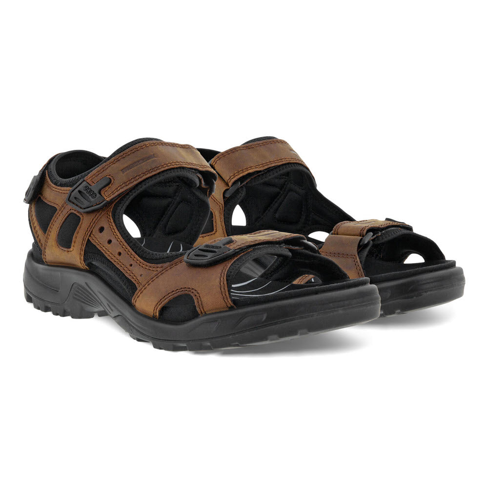 A pair of brown Ecco Yucatan M Plus Sierra men&#39;s sports sandals with adjustable straps and black soles, isolated on a white background.