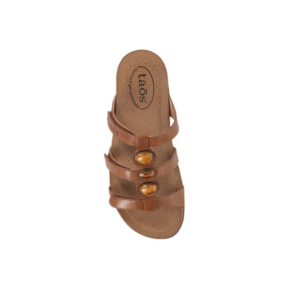 Brown leather dressy sandal with three straps and circular golden buckles, viewed from above on a white background. Taos Gemma Hazelnut - Womens.