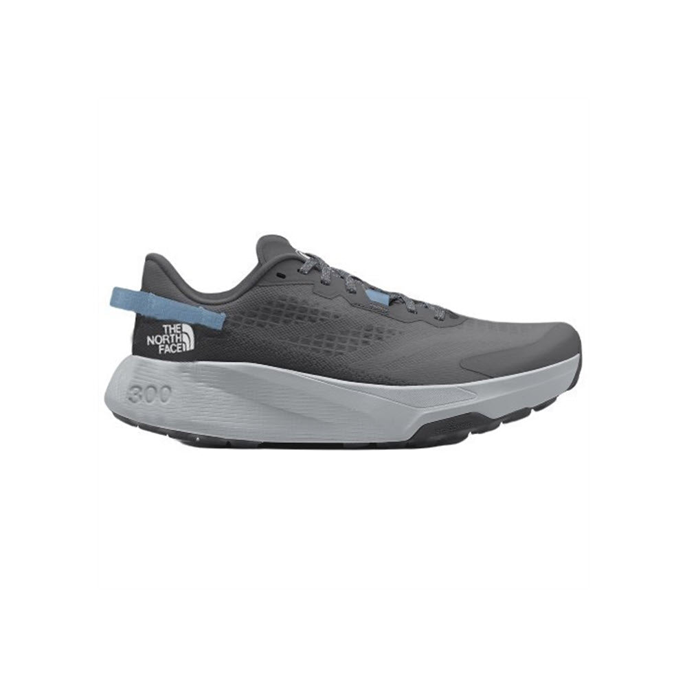 A single gray North Face ALTMESA 300 PEARL/HIGH RISE trail-running shoe with a blue label on the heel and the number 300 on the midsole.