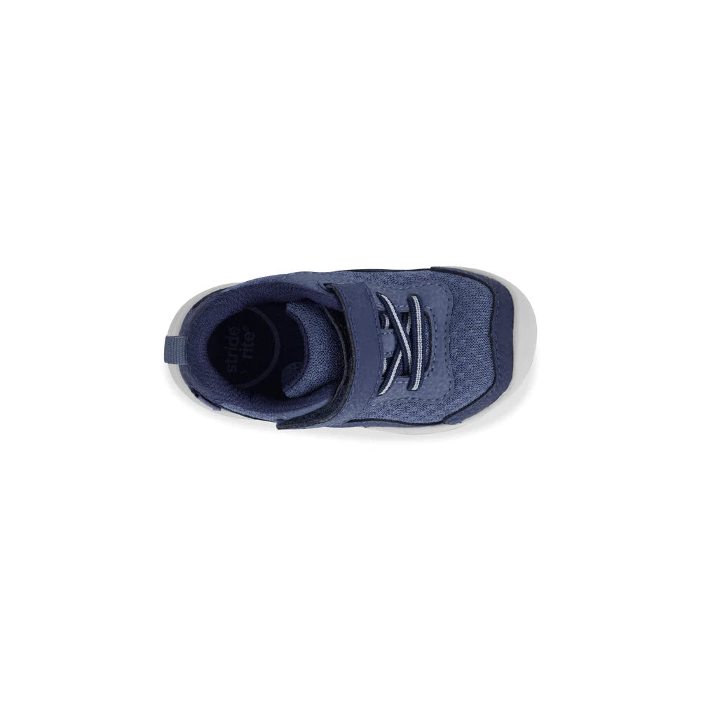 A single blue Stride Rite SRT Winslow 2.0 Navy Sneaker for toddlers with velcro straps viewed from above, isolated on a white background.