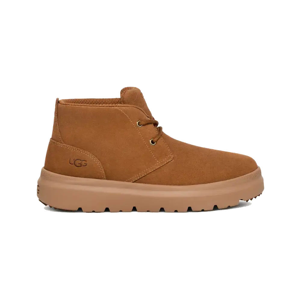 UGG BURLEIGH CHUKKA WATERPROOF BOOT CHESTNUT - MENS - Lamey