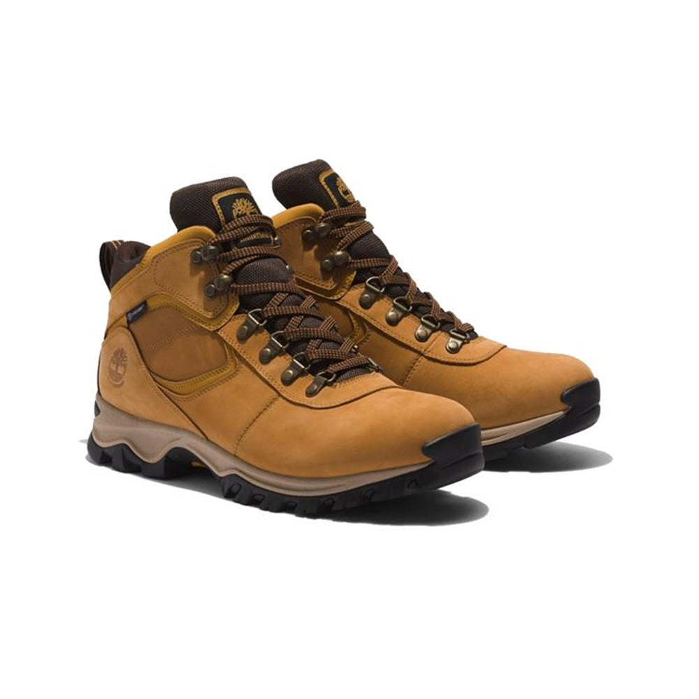 A pair of Timberland Mt. Maddsen Mid Leather Waterproof Wheat - Mens hiking boots with black soles, featuring metal eyelets and embossed logos on the sides.