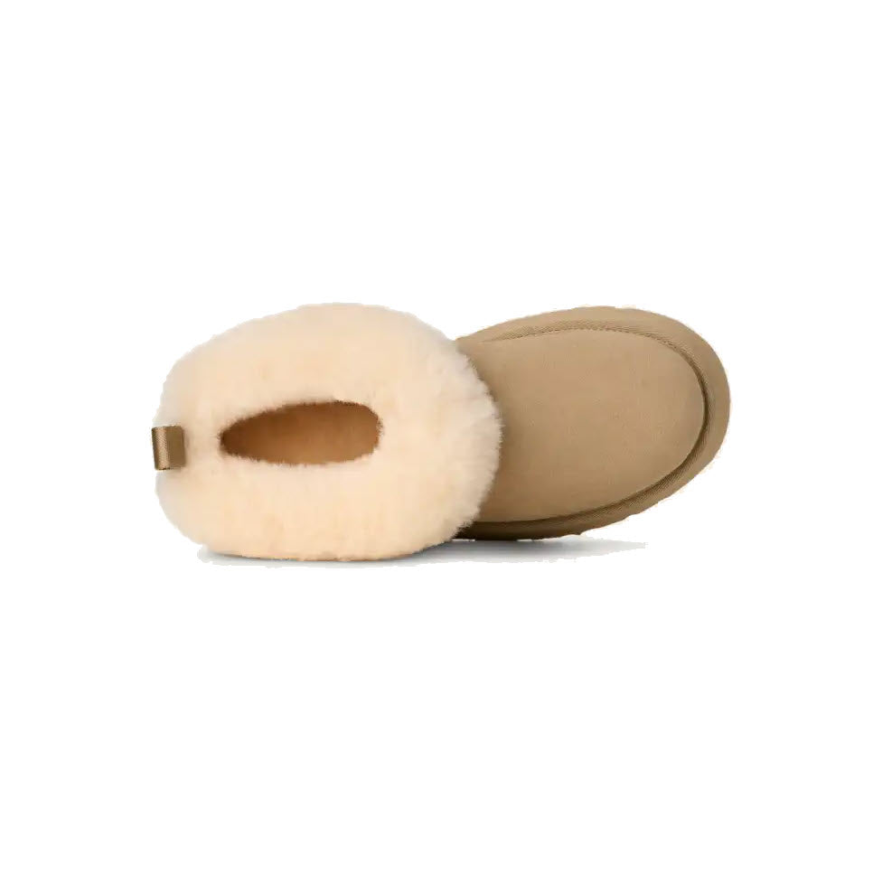 UGG TAZZELLE MUSTARD SEED - WOMENS