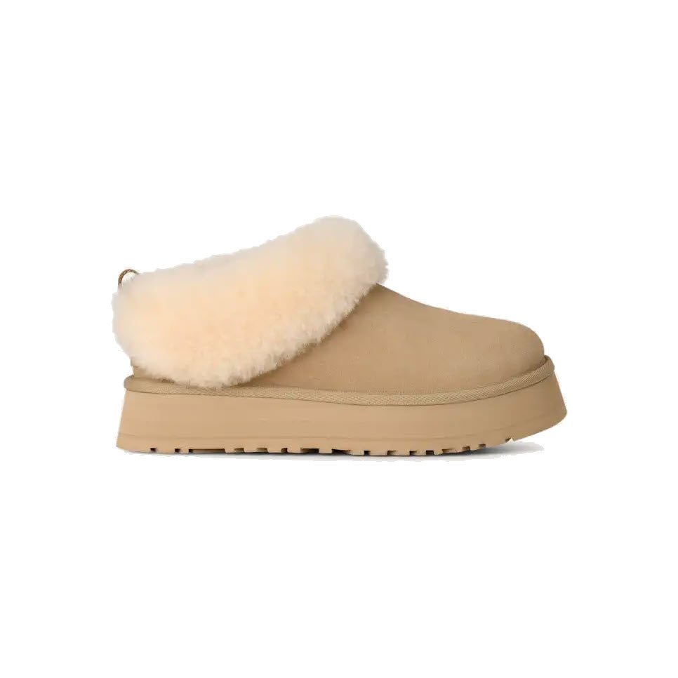UGG TAZZELLE MUSTARD SEED - WOMENS