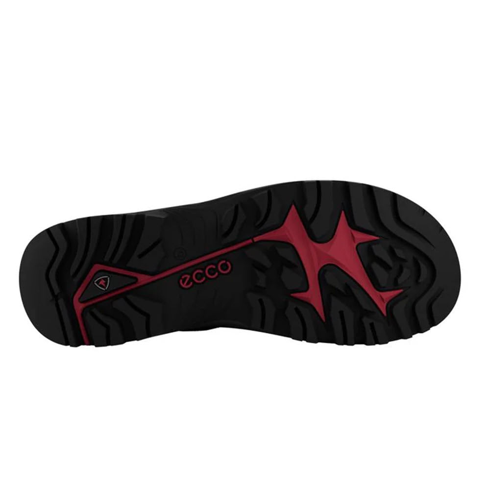 ECCO OFFROAD M WATERPROOF LOW OXFORD BLACK BLACK - MENS