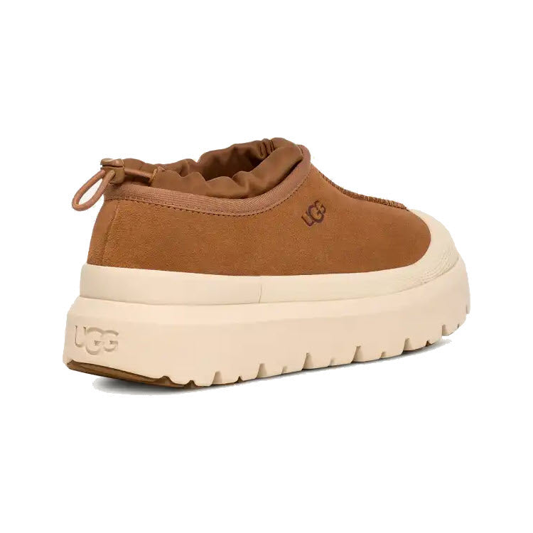 UGG TASMAN WEATHER HYBRID WATERPROOF SLIP ON SUEDE CHESTNUT - MENS