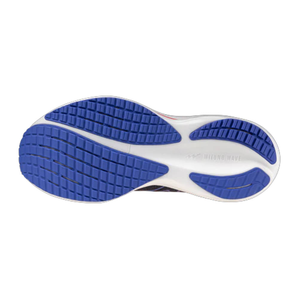 MIZUNO WAVE RIDER 29 ODYSSEY GREY/IRIS BLOOM - WOMENS