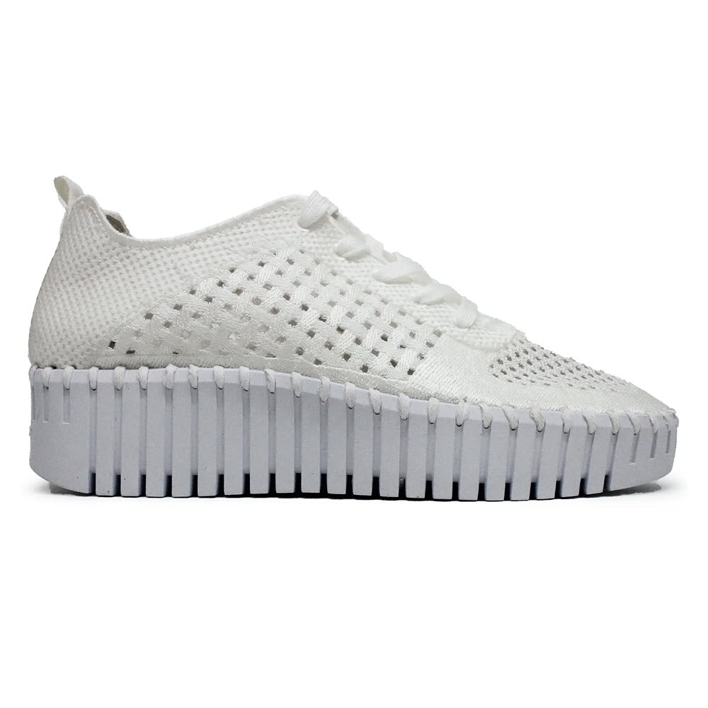LINES OF DENMARK ILSE JACOBSON TULIP PLATFORM LACE WHITE - WOMENS