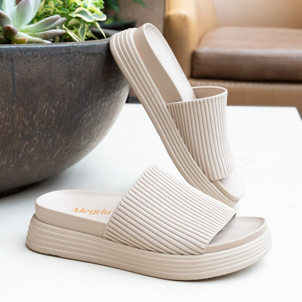 ALEGRIA AKIMI ELEVATED SPORT OUTSOLE SANDAL BEACHY KEEN - WOMENS
