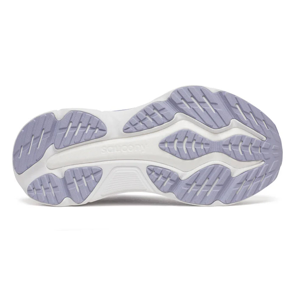 SAUCONY HURRICANE 25 THISTLE/ASTER - WOMENS