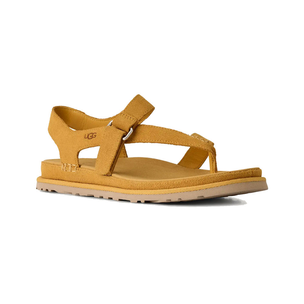 UGG GOLDENGAZE TOE POST SANDAL WHEAT FIELD - WOMENS