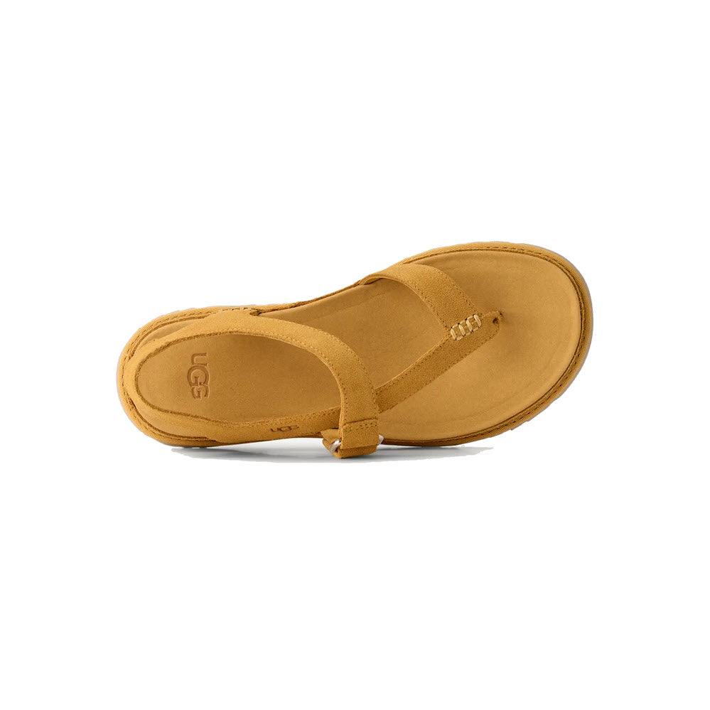 UGG GOLDENGAZE TOE POST SANDAL WHEAT FIELD - WOMENS