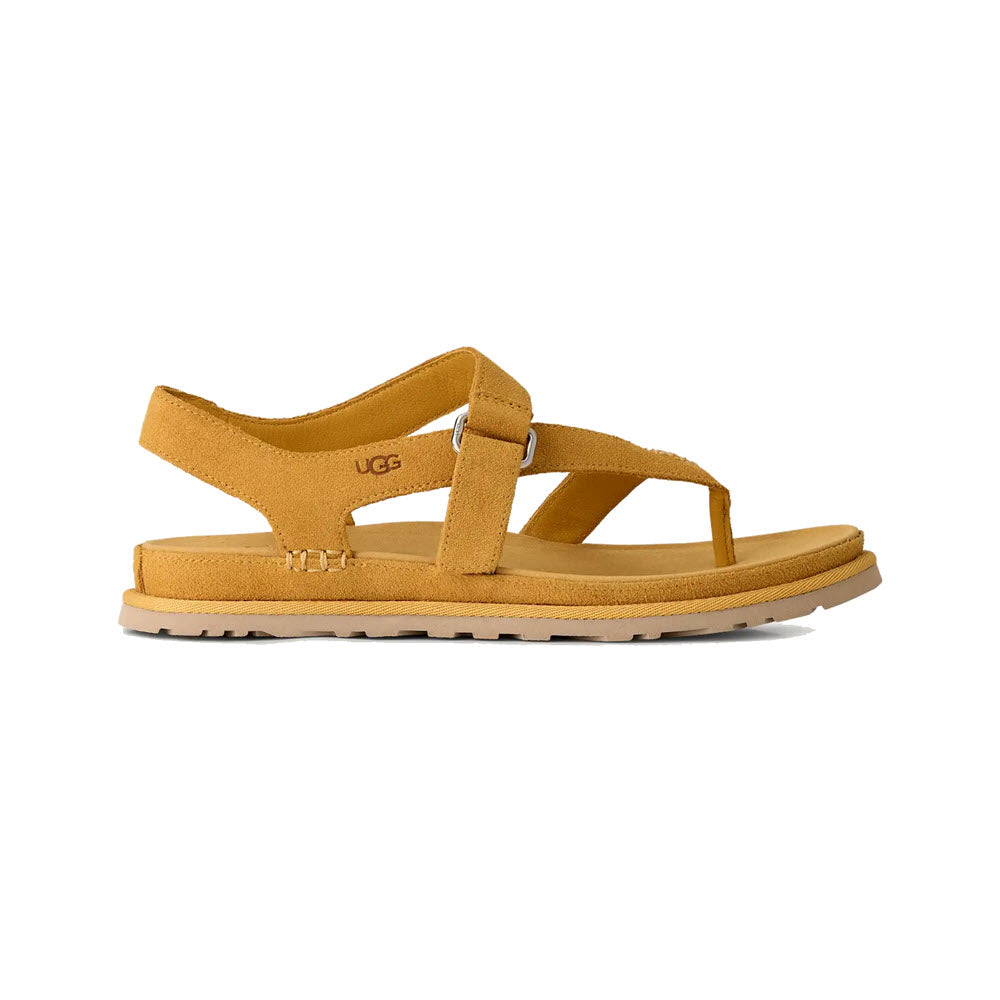 UGG GOLDENGAZE TOE POST SANDAL WHEAT FIELD - WOMENS