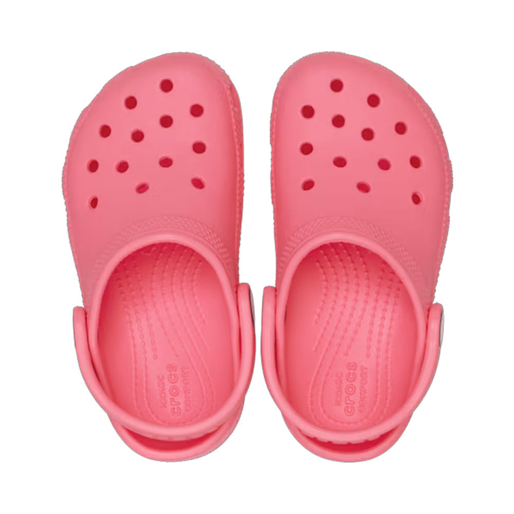 CROCS CLASSIC CLOG T GUAVA - KIDS