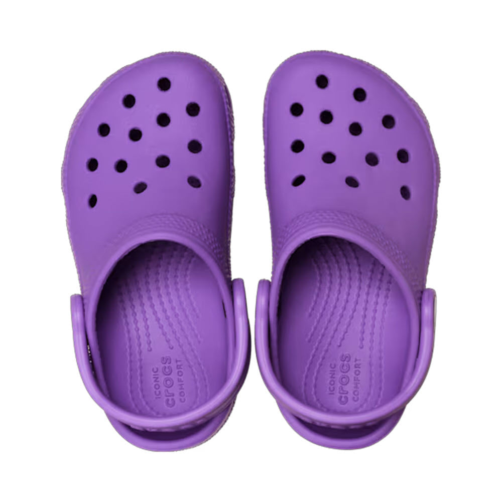 CROCS CLASSIC CLOG T PURPLE - KIDS