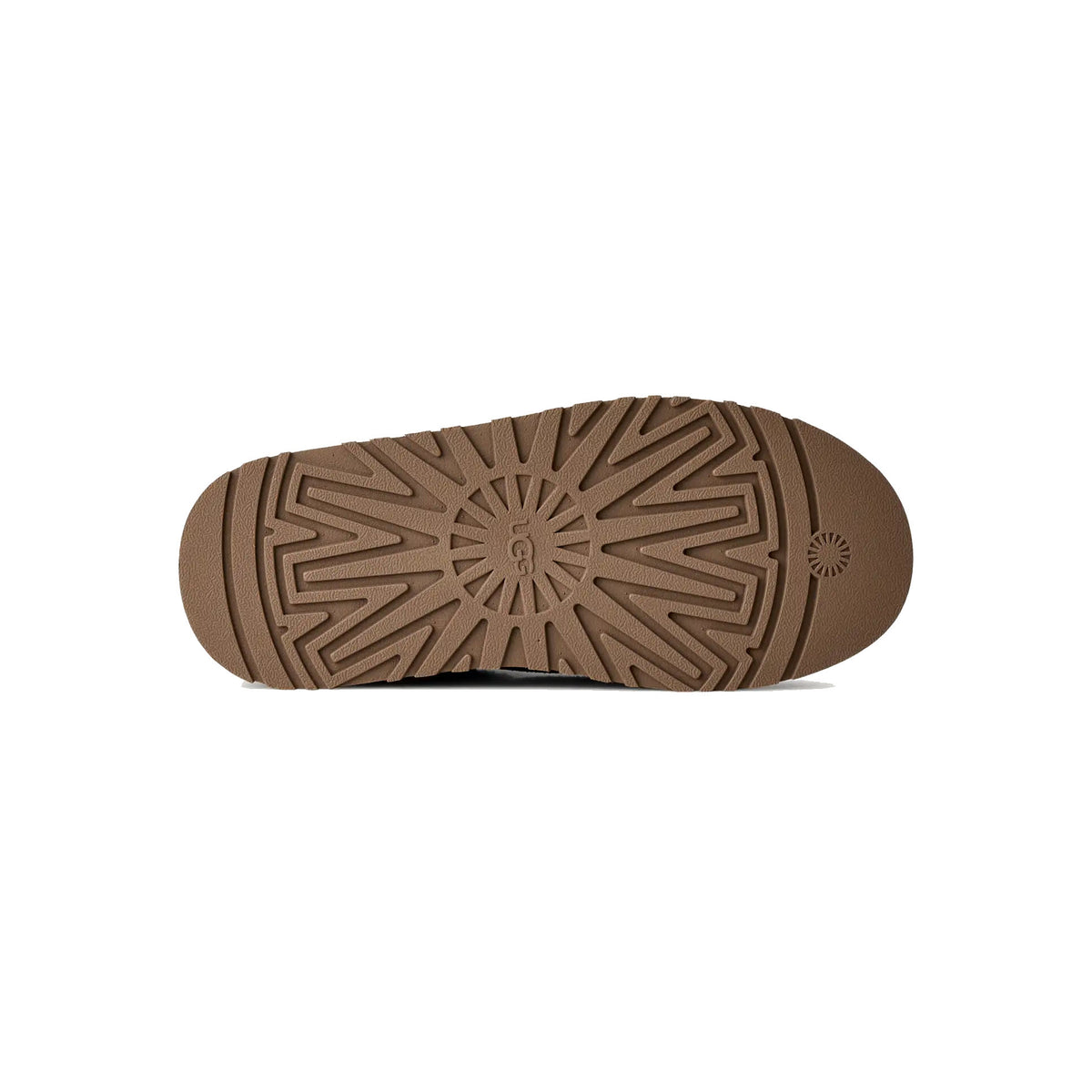UGG TAZZ II PORTOBELLO - WOMENS