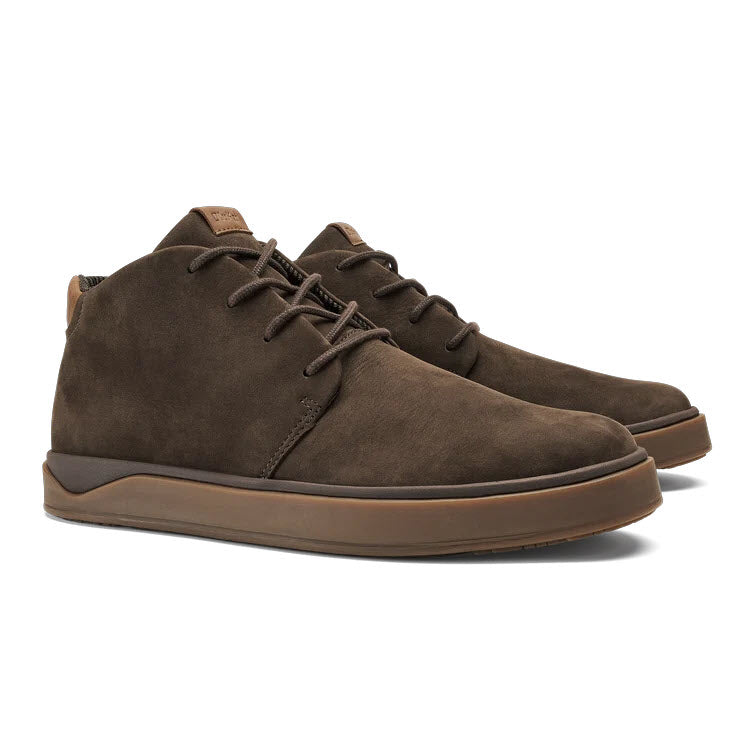 PAPAKU' ILI DARK JAVA CHUKKA - MENS