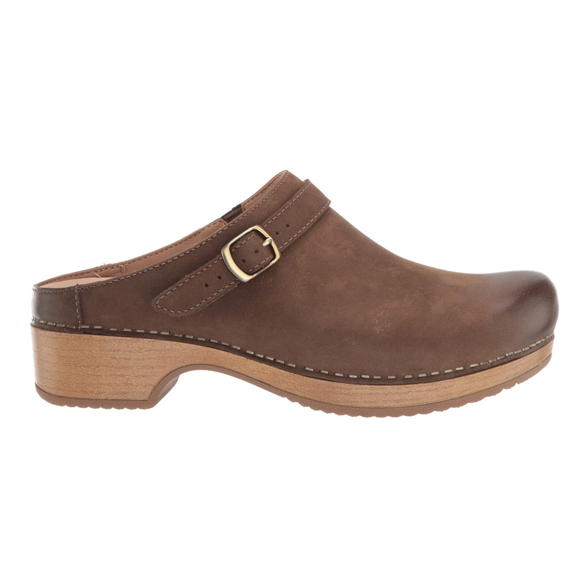 Brown Dansko Berry Mushroom Burnished clog with buckle on a white background.