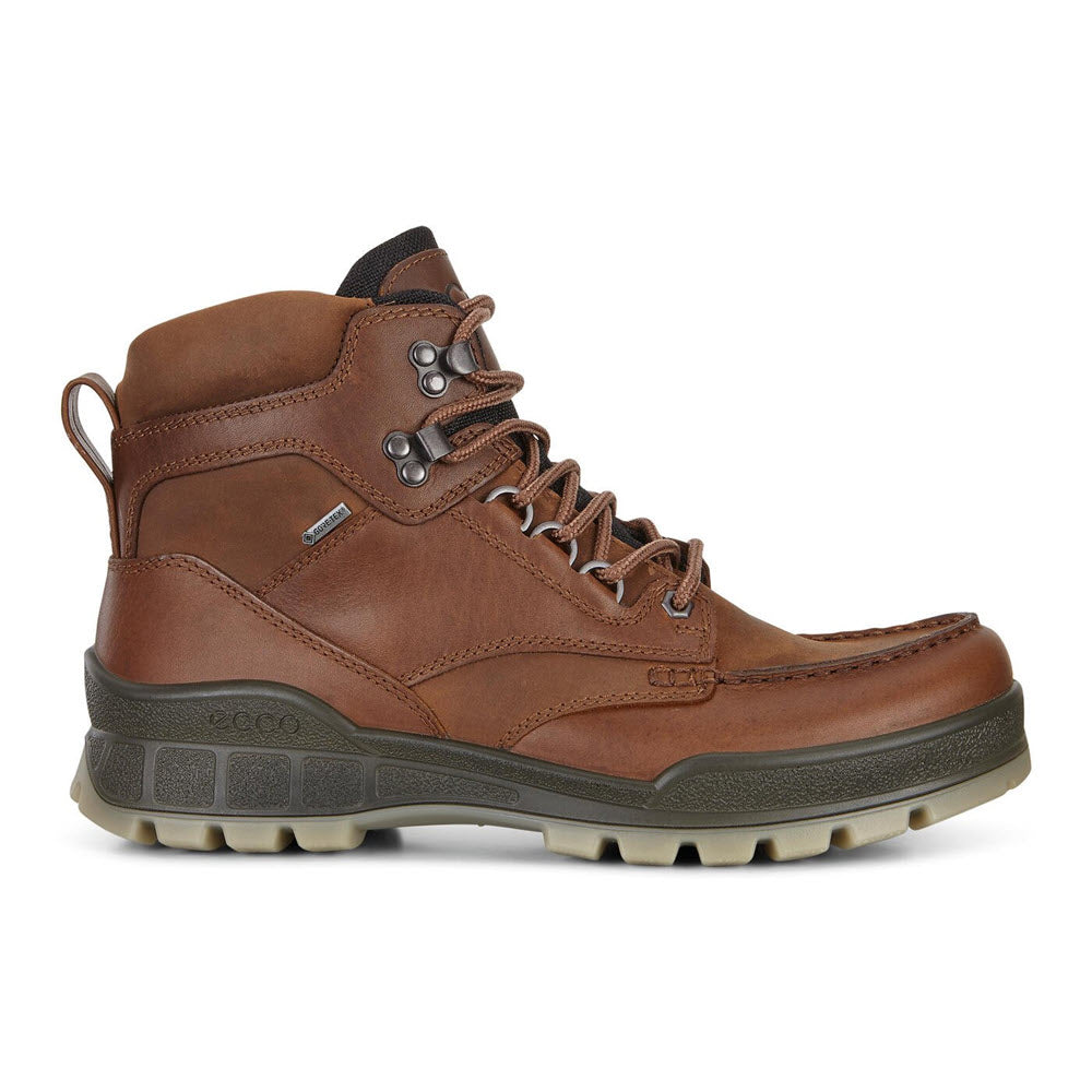 A brown Ecco ECCO TRACK 25 HIGH BISON leather hiking boot with laces on a white background.