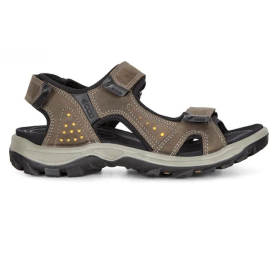 A pair of brown Ecco OFFROAD LITE sandals with adjustable straps and a cushioned sole featuring RECEPTOR technology.