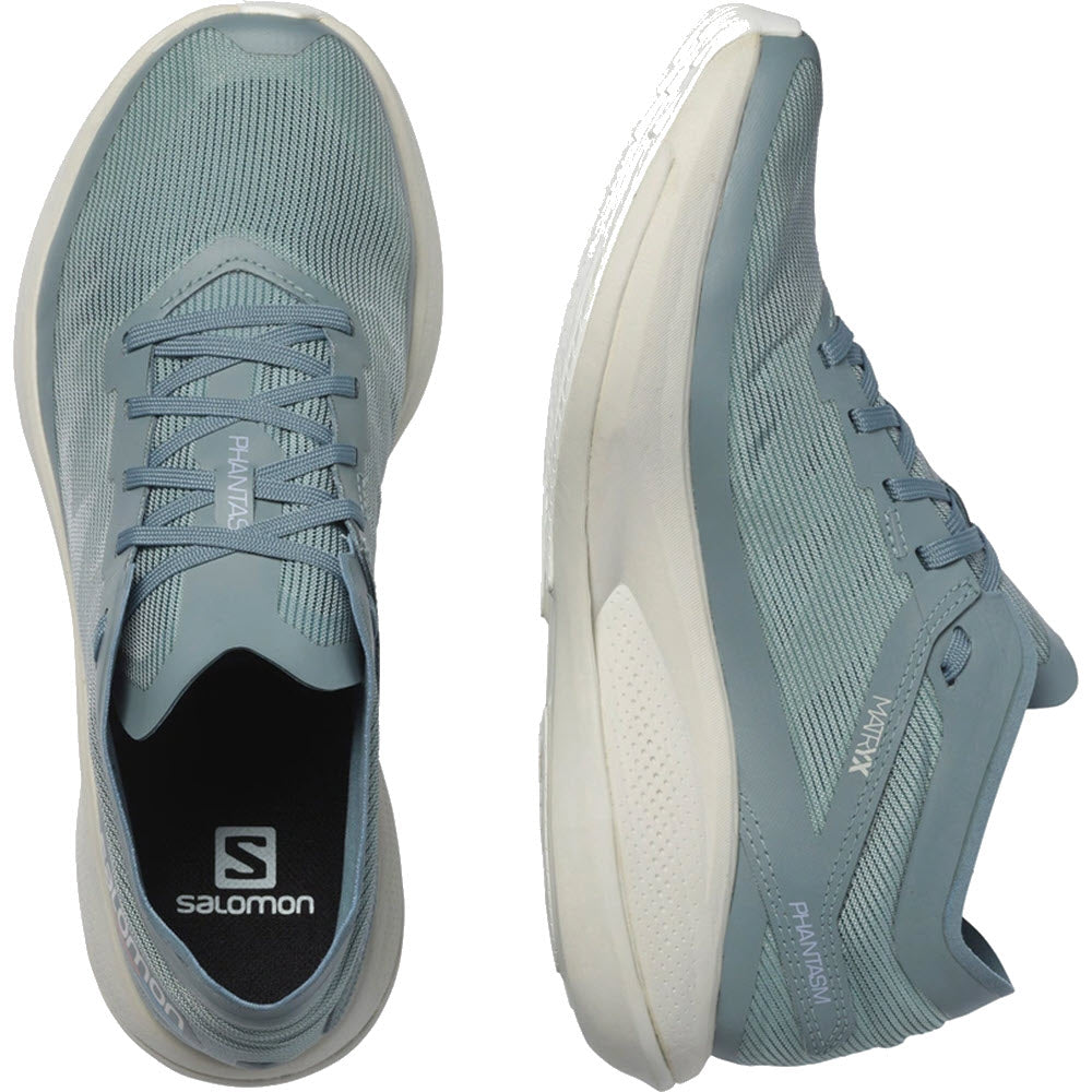 A pair of Salomon Phantasm Trooper/Lunar Rock brand running shoes, one viewed from above and the other from the side, featuring Energy Surge foam.