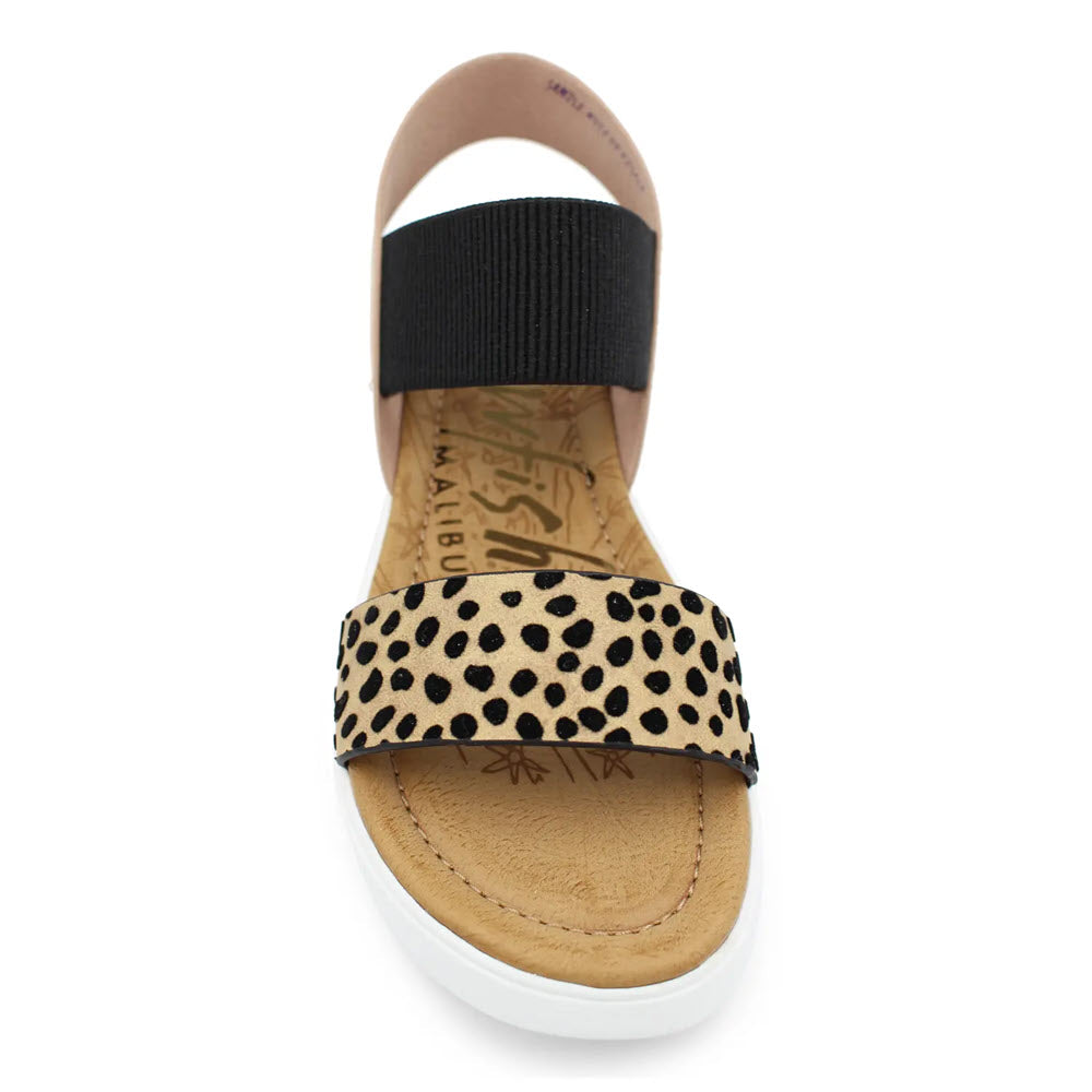 A single BLOWFISH TIA SAND LEOPARD - WOMENS sandal with animal print faux-leather straps viewed from above.