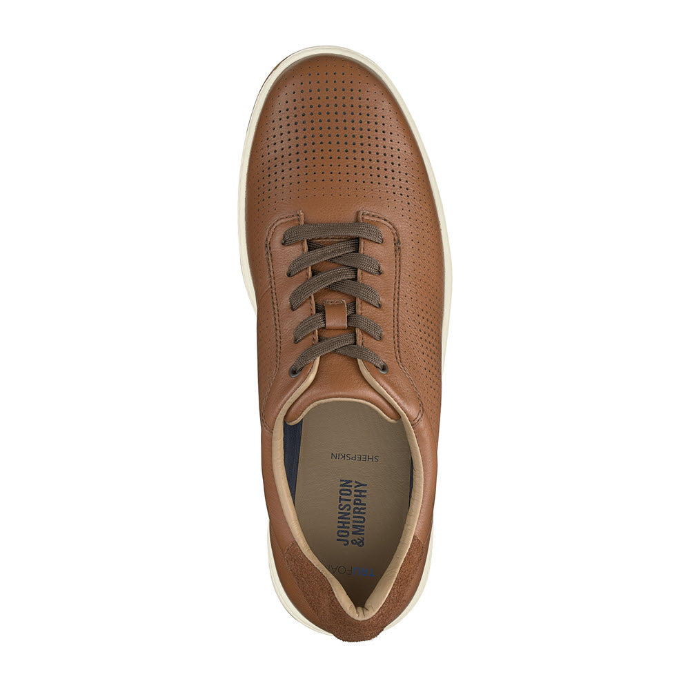 A single brown full-grain leather Johnston &amp; Murphy sneaker viewed from above.