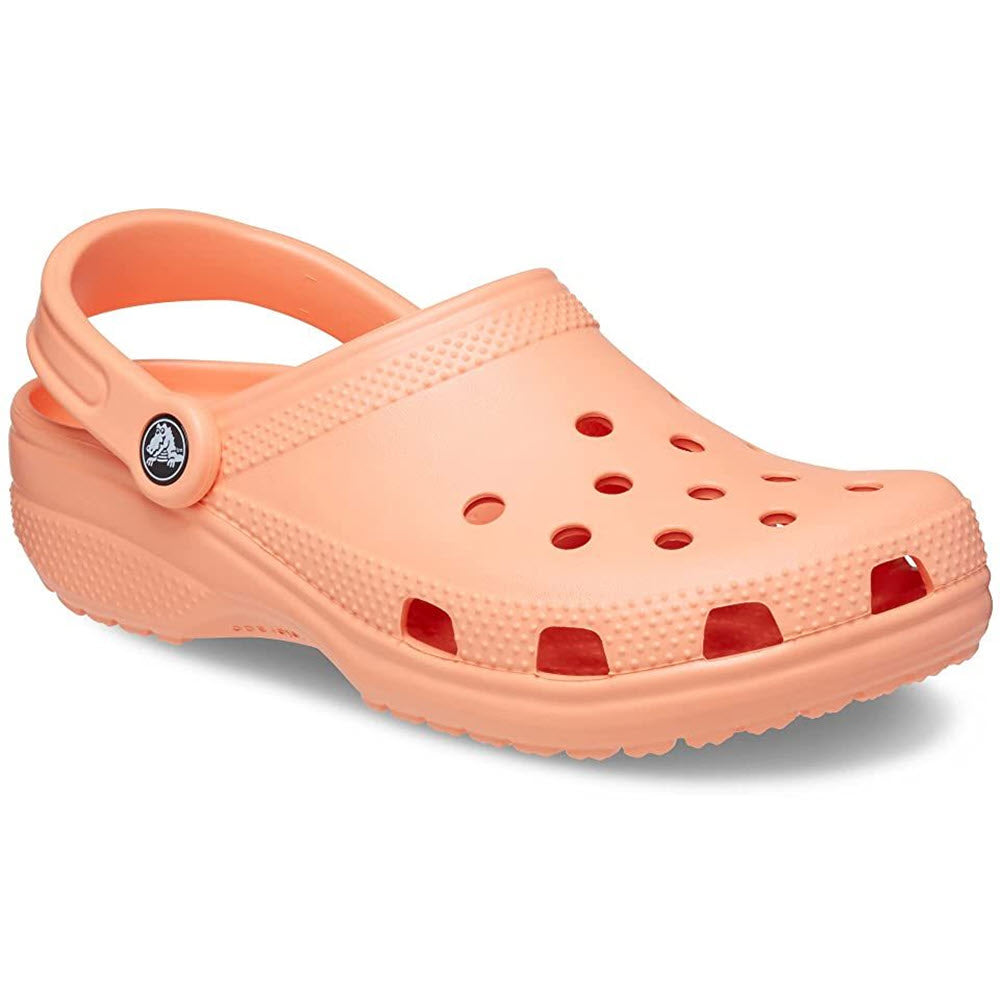 A papaya-colored Crocs Classic Clog with ventilation holes and a pivoting heel strap, displayed on a white background.