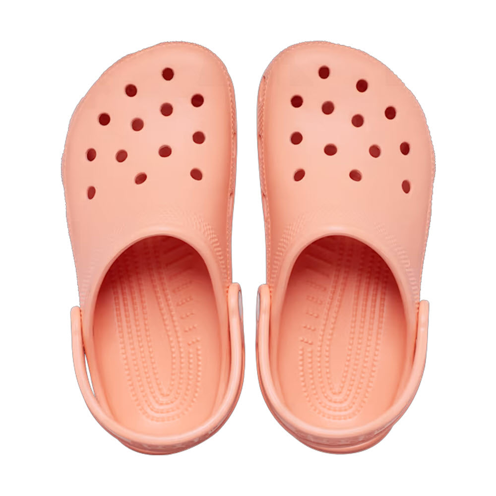 A pair of papaya-colored Crocs Classic Clogs with circular ventilation holes and a back strap, viewed from above.