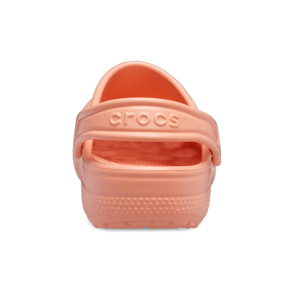 Rear view of a single papaya-colored Crocs Classic Clog shoe on a white background.