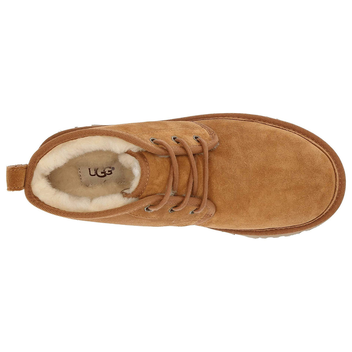 Top view of a single suede UGG Neumel chestnut chukka boot with laces, shearling-lined.