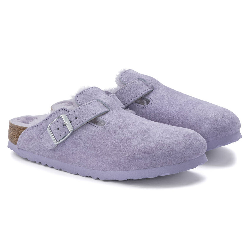 A pair of light purple, suede Birkenstock Boston clog slippers with buckle detail on a white background.