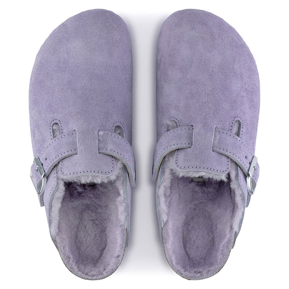 A pair of purple suede Birkenstock Boston Shearling Purple Fog clogs with fluffy shearling lining and hook-and-loop fasteners, viewed from above.