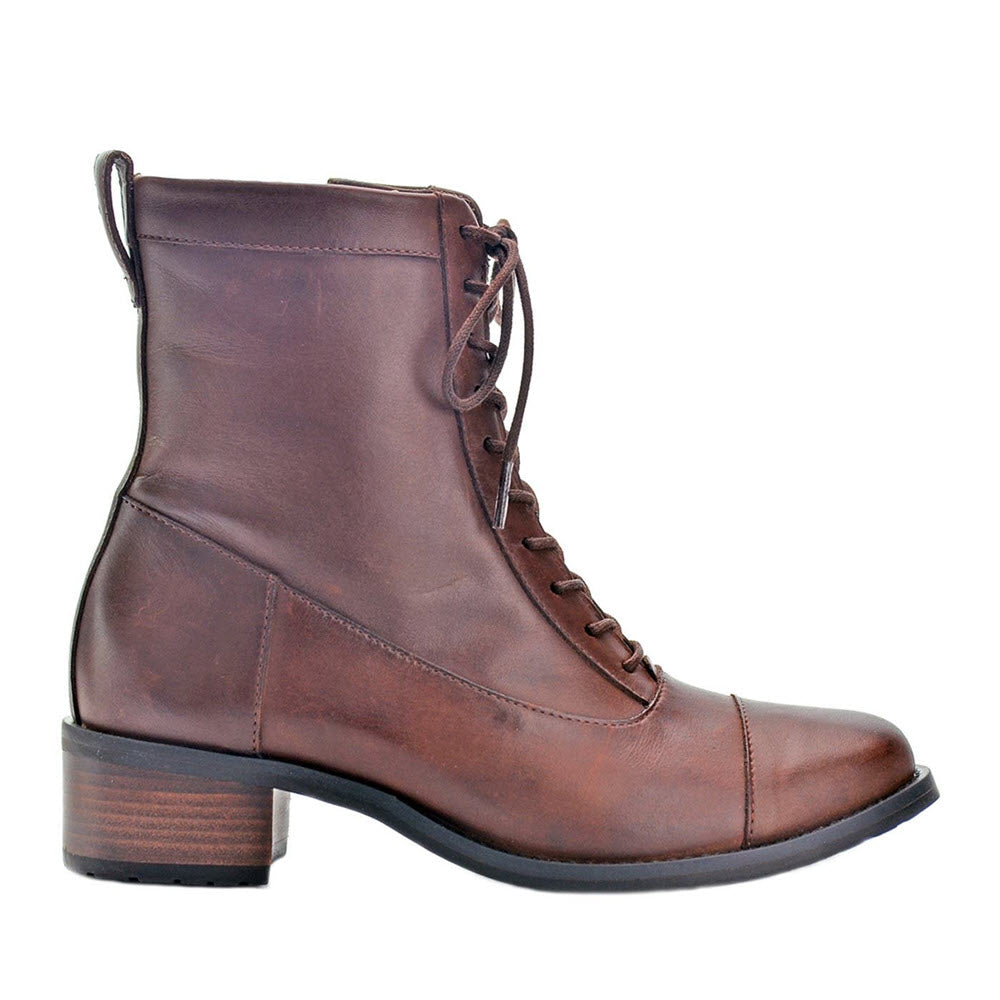 A David Tate Explorer Brown women's granny-style lace-up boot with a small heel, isolated on a white background.