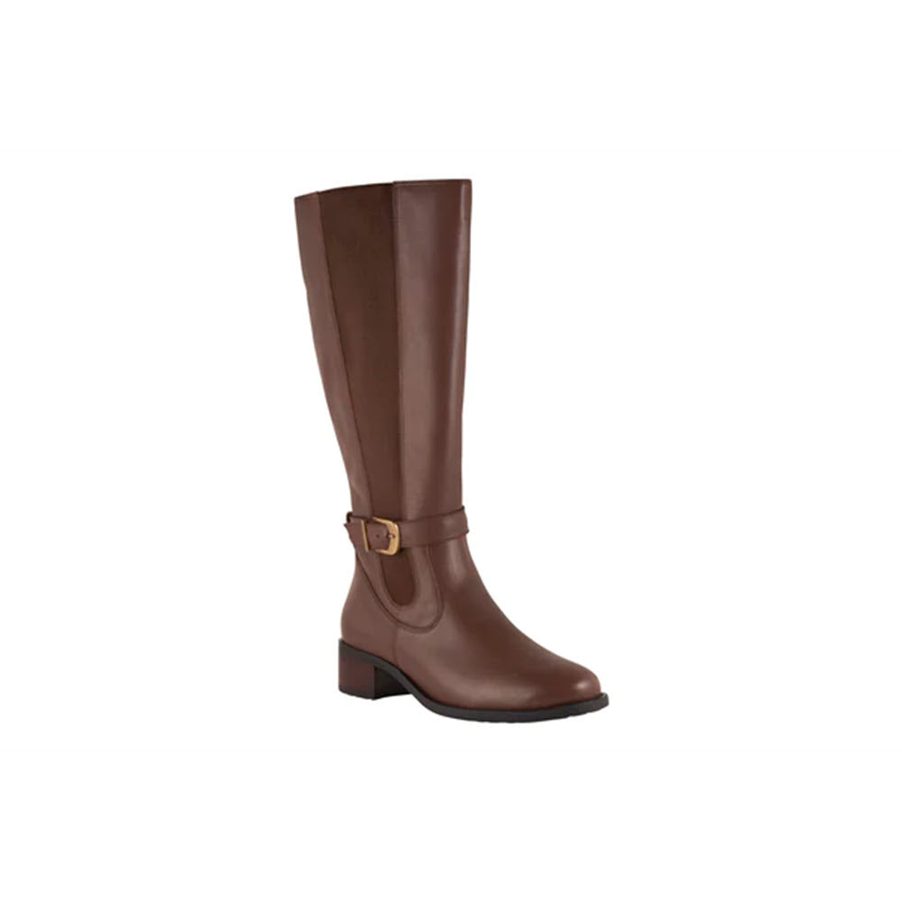 A single David Tate Allegria Extended Calf Brown riding boot with a buckle detail near the ankle, displayed against a white background.