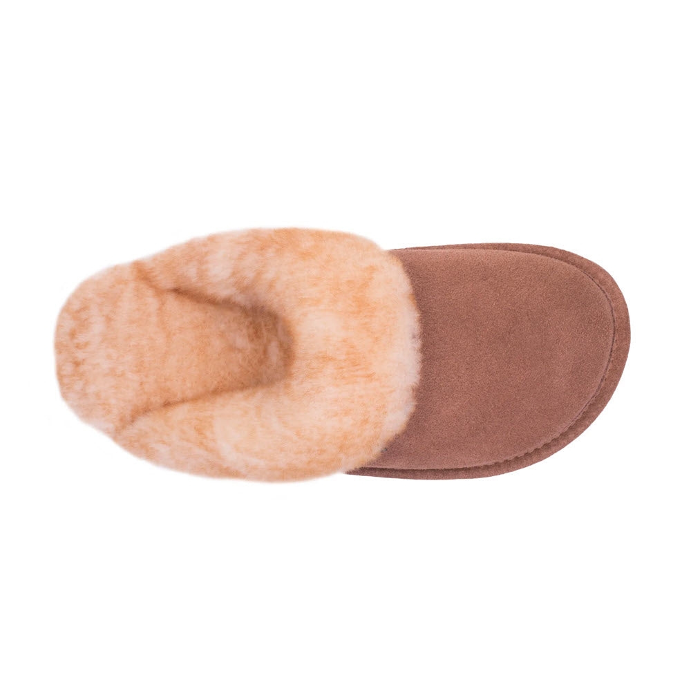Top-down view of a Cloud Nine Ladies Scuff Chestnut slipper with a brown suede and soft, cream-colored fur lining, isolated on a white background.