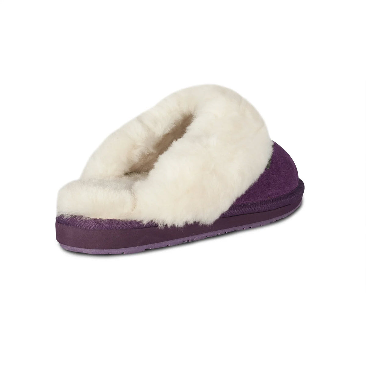A single Cloud Nine Ladies Scuff Purple slipper isolated on a white background.
