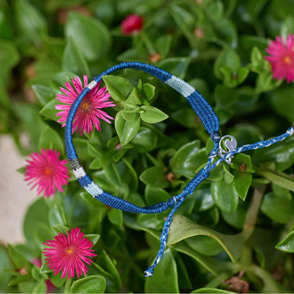 4Ocean GUATAMALA NAUTICAL BLUE recycled plastic bracelet placed atop a green plant with pink flowers.