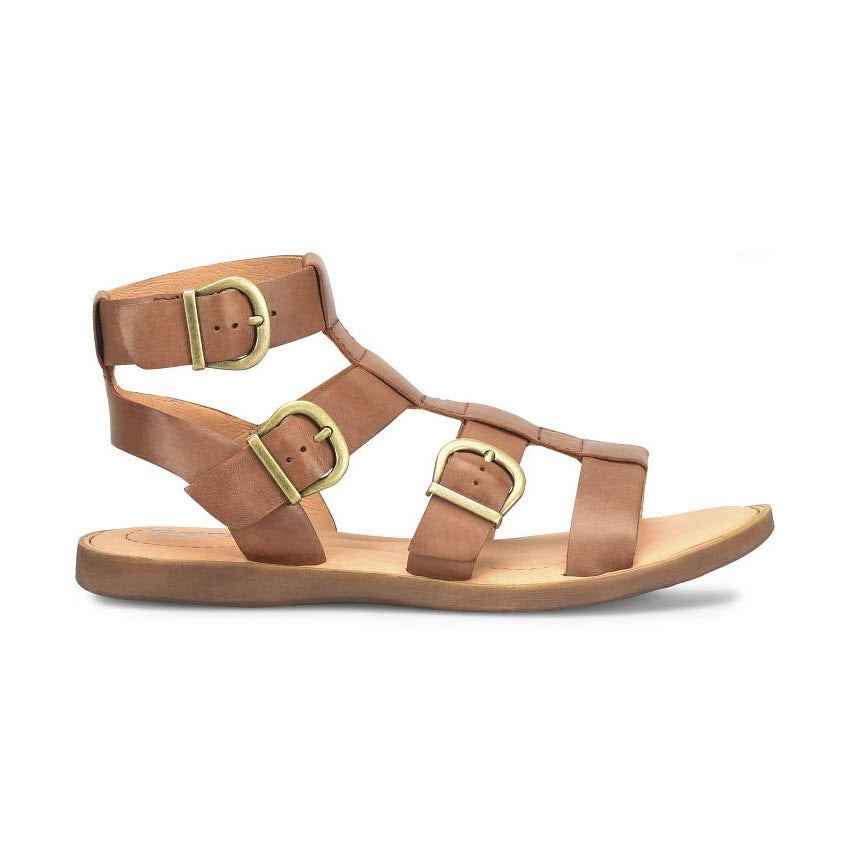 Born Haidde Brown leather gladiator sandals with buckle closures on a white background.