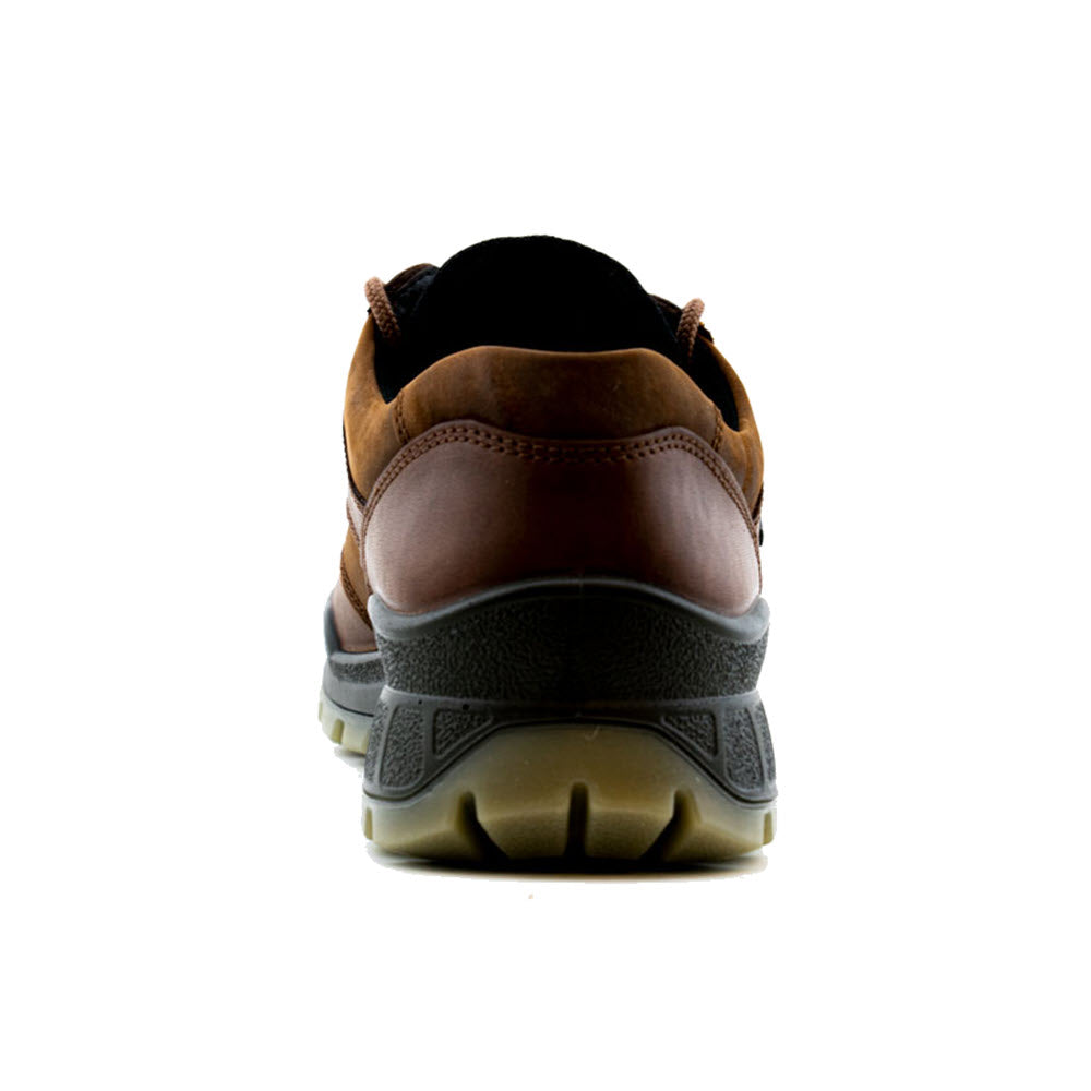 Rear view of a brown and black Ecco Track 25 Low Bison sneaker with Gore-Tex lining against a white background.