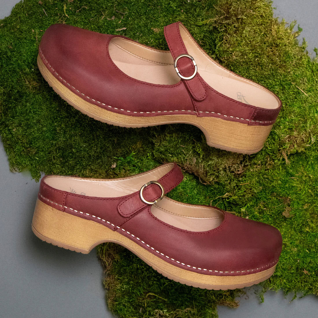 A pair of maroon Dansko Bria Cinnabar Mary Jane clog mules with buckle straps, displayed on a green mossy surface.